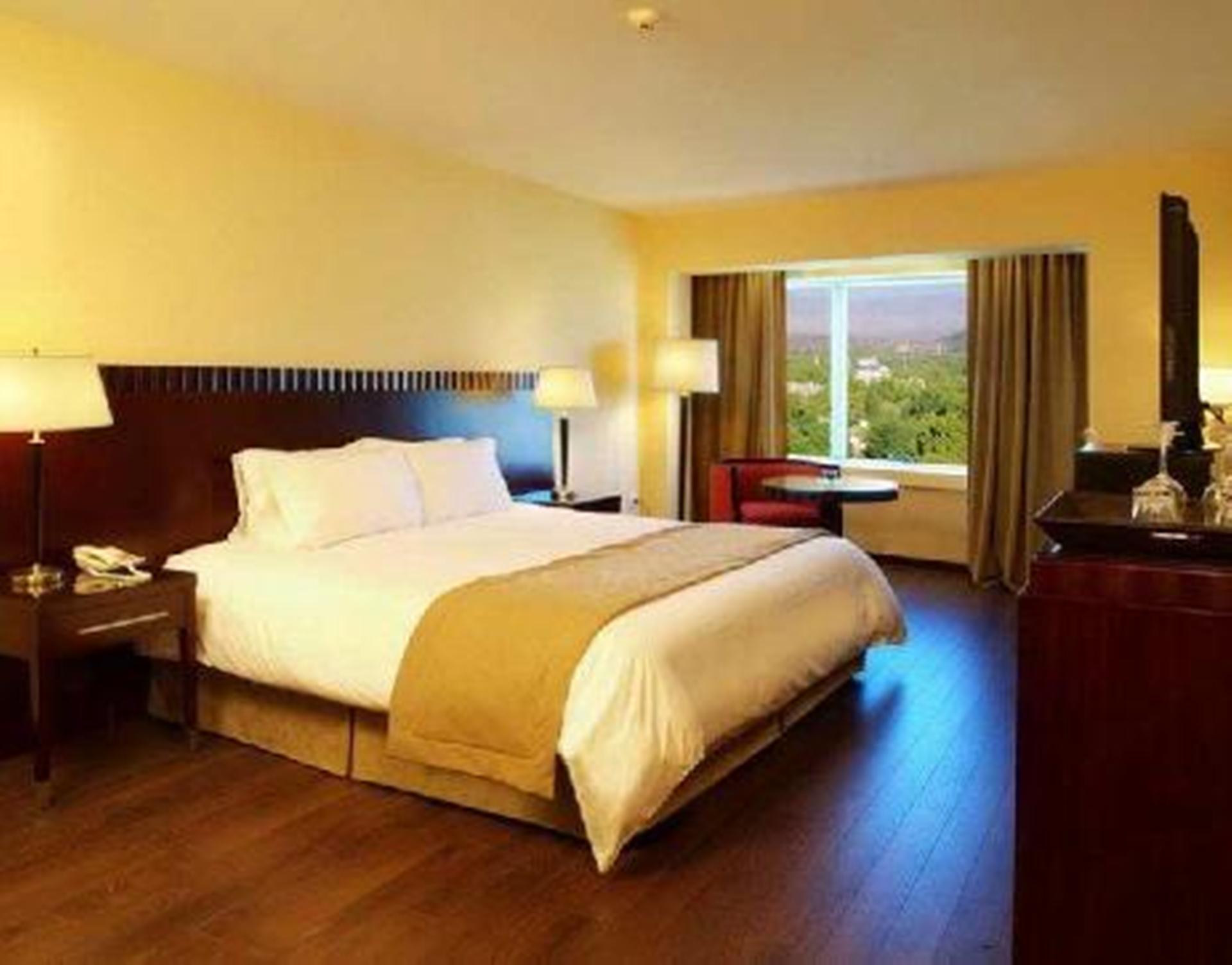 Diplomatichotel Mendoza Ngoại thất bức ảnh A typical hotel room